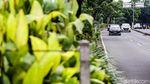 Margonda Siang Ini Ramai Lancar