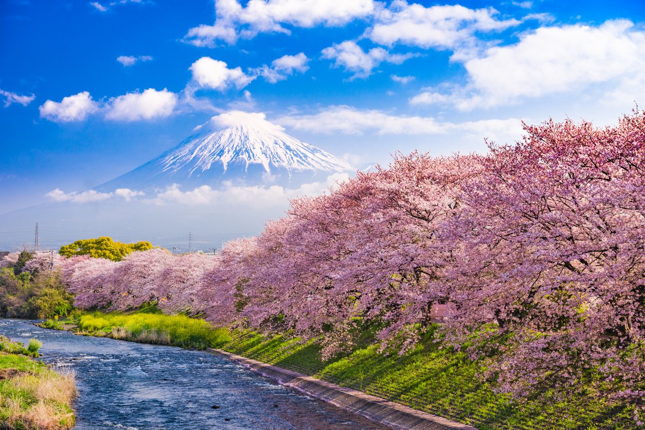 Gunung Fuji di Jepang