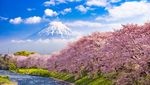 Foto: Gunung Fuji yang Cantik Kini Ditutup