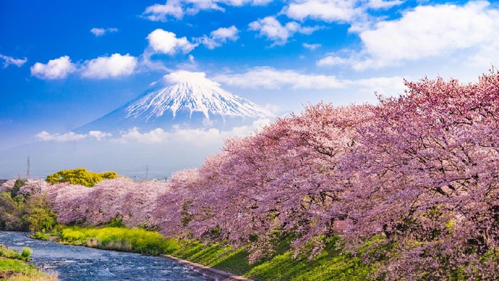 Gunung Fuji di Jepang