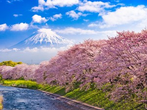 Ikuti Tur Virtual Destinasi Jepang, Ada Hadiah Uang Tunai