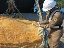 Ekspor NTB Anjlok 56 Persen