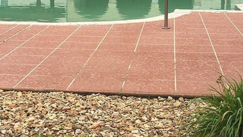 Bebek di kolam renang perumahan.  Foto: Bored Panda