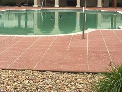 Potret Hewan Menyerbu Kota Saat Lockdown