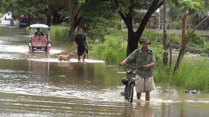 Banjir di Desa Mammi, Polewali Mandar Sulbar