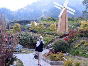 Murah Meriah Wisata ke Merapi Garden