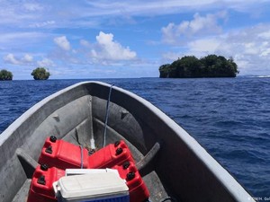 Melihat Bagaimana Negara-negara Pulau di Pasifik Berusaha Meredam Corona