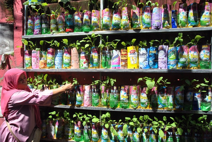 Di Bogor Ada Kampung Siaga Pangan COVID-19 Lho Warga Kelurahan Bondongan, Kota Bogor, mencanangkan Kampung Siaga Pangan COVID-19. Mereka secara swadaya menanam berbagai jenis sayuran dengan teknik urban farming.