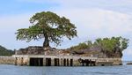 Potret Pulau yang Punya Kambing Lebih Banyak dari Manusia