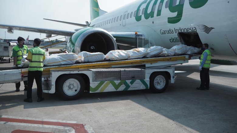 pesawat kargo citilink pesawat kargo citilink