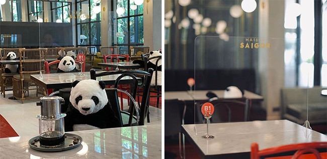 Restoran di Bangkok, Thailand, menempatkan boneka-boneka panda agar pengunjung tahu jarak aman ketika ingin duduk dan makan. Foto: dok. Boredpanda