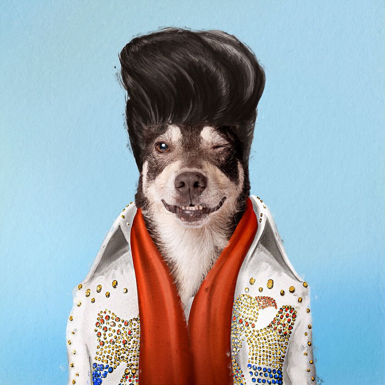 Emesh, Anjing-Kucing Disulap Jadi Bob Marley sampai Michael Jackson Emesh, Anjing-Kucing Disulap Jadi Bob Marley sampai Michael Jackson