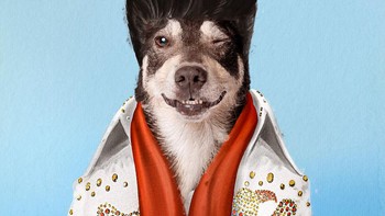 Karakter yang ini bisa kamu tebak dengan baik pastinya. Yap, dia Elvis Pupsley. Foto: Andreas Häggkvist via Bored Panda