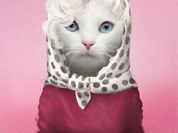 Emesh! Anjing-Kucing Disulap Jadi Bob Marley Sampai Michael Jackson