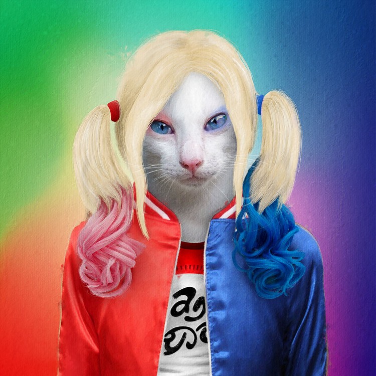 Emesh, Anjing-Kucing Disulap Jadi Bob Marley sampai Michael Jackson Emesh, Anjing-Kucing Disulap Jadi Bob Marley sampai Michael Jackson