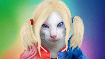 Kalau yang ini namanya jadi Howley Quinn. Foto: Andreas Häggkvist via Bored Panda