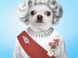 Emesh! Anjing-Kucing Disulap Jadi Bob Marley Sampai Michael Jackson