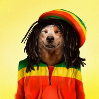 Emesh, Anjing-Kucing Disulap Jadi Bob Marley sampai Michael Jackson