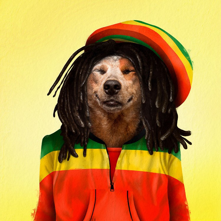 Emesh, Anjing-Kucing Disulap Jadi Bob Marley sampai Michael Jackson