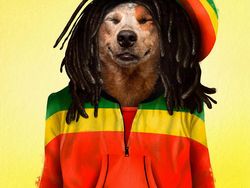 Emesh! Anjing-Kucing Disulap Jadi Bob Marley Sampai Michael Jackson