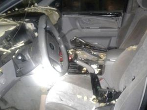 Tak Sekadar Turun ke Jalan, Beruang Ini Malah Masuk ke Dalam Mobil