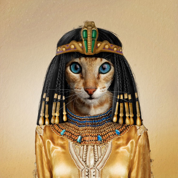 Emesh, Anjing-Kucing Disulap Jadi Bob Marley sampai Michael Jackson
