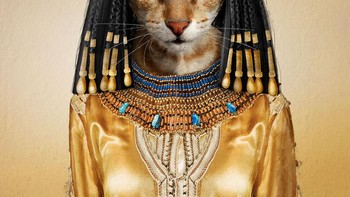 Ampun, gemes banget begitu kucing ini disulap jadi Cleopatra. Foto: Andreas Häggkvist via Bored Panda