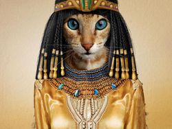 Emesh! Anjing-Kucing Disulap Jadi Bob Marley Sampai Michael Jackson