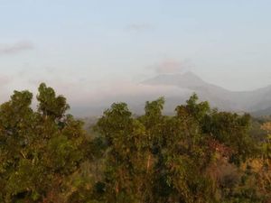 4 Fakta Menarik Gunung Wilis, Surga Tersembunyi Bagi Pendaki