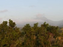 4 Fakta Menarik Gunung Wilis, Surga Tersembunyi Bagi Pendaki
