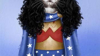 Meownder Woman, kalau versi kucing begini jadi cute, kan? Foto: Andreas Häggkvist via Bored Panda