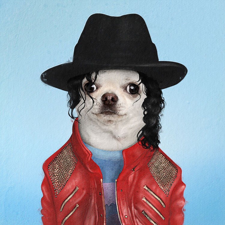 Emesh, Anjing-Kucing Disulap Jadi Bob Marley sampai Michael Jackson Emesh, Anjing-Kucing Disulap Jadi Bob Marley sampai Michael Jackson