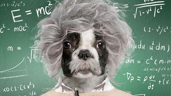 Siapa ini? Kalau suka sains pasti tahu orangnya. Foto: Andreas Häggkvist via Bored Panda