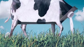 Ini susu sapi yang sebenarnya. Foto: Instagram @ronnaldong via BrainBerries