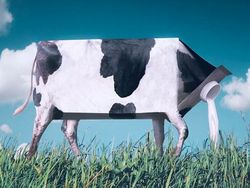 Photoshop Hewan Jejadian yang Menggelikan