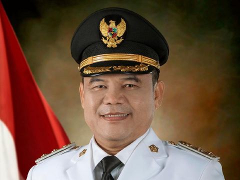Bupati Ogan Ilir Ilyas Panji Alam (ist)