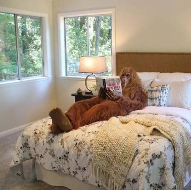 Seperti dalam foto yang satu ini, untuk memperlihatkan suasana dan keadaan kamar, Bigfoot terlihat berbaring santai di atas ranjang sambil membaca. Foto: dok. Zillow