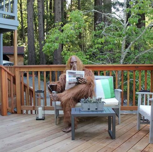 Ini adalah foto saat Bigfoot sedang bersantai di teras depan rumah. Walaupun terletak di dalam hutan, namun rumah ini tetap terlihat cukup nyaman bukan? Foto: dok. Zillow