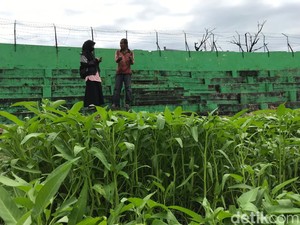 Stadion Andi Mattalatta Ditanami Sayur, Ini Tanggapan Pemprov Sulsel