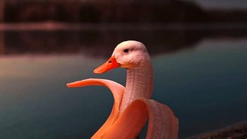 Lagi-lagi pisang. Kali ini si bebek yang jadi korbannya. Foto: Instagram @ronnaldong via BrainBerries