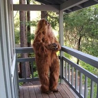 Sebuah rumah di Felton, California, Amerika Serikat yang akan dijual memiliki cara uniknya sendiri untuk menarik perhatian para pembeli. Dalam foto-foto rumah ini, kamu akan menemukan Bigfoot sebagai modelnya. Foto: dok. Zillow