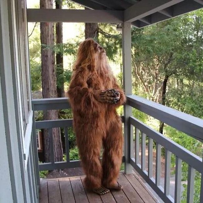 Sebuah rumah di Felton, California, Amerika Serikat yang akan dijual memiliki cara uniknya sendiri untuk menarik perhatian para pembeli. Dalam foto-foto rumah ini, kamu akan menemukan Bigfoot sebagai modelnya. Foto: dok. Zillow