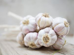13 Manfaat Bawang Putih untuk Kesehatan Tubuh