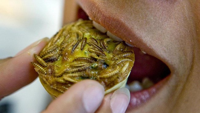 5 Budaya Kuliner Makan Cacing yang Unik di Berbagai Negara
