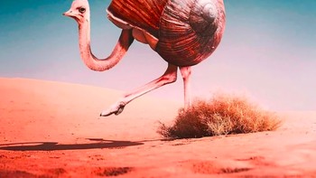 Burung unta bercangkang keong. Foto: Instagram @ronnaldong via BrainBerries