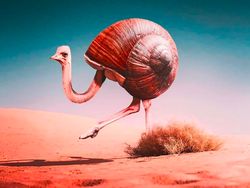 Photoshop Hewan Jejadian yang Menggelikan