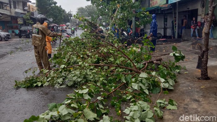pohon tumbang di surabaya