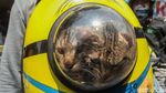 Saat Minion Jalan-jalan ke Pasar Jatinegara