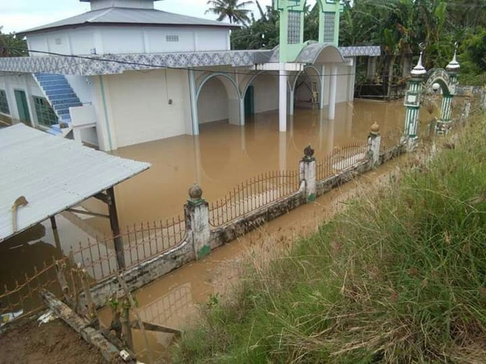 Banjir di satu desa di Pinrang, Sulsel. (Hasrul Nawir/detikcom)