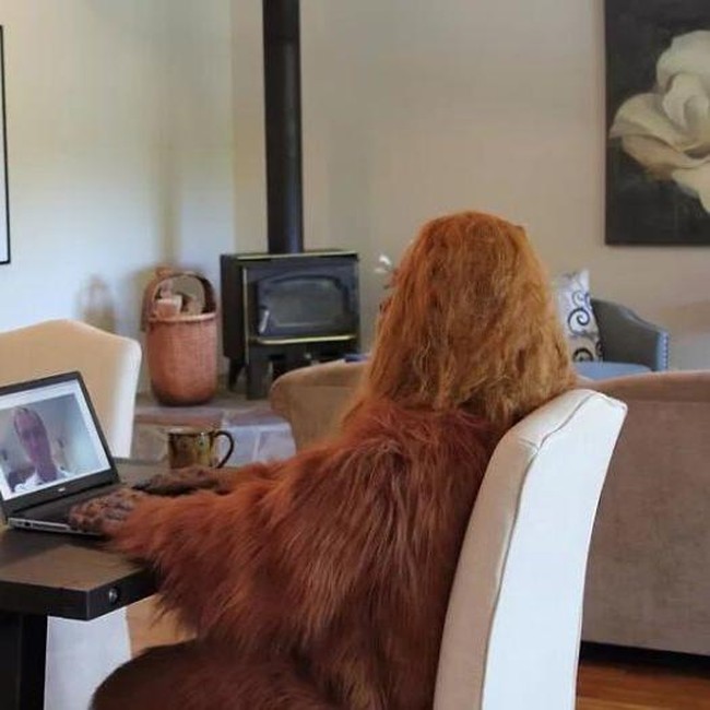 Kalau yang satu ini, Bigfoot tampak asik sedang melakukan panggilan video di ruang tamu. Bagaimana menurutmu, terlihat lucu atau justru malah menyeramkan? Foto: dok. Zillow